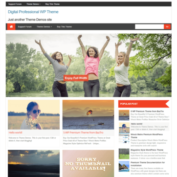 Digital WP Theme