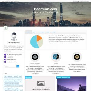 Profile WP Theme