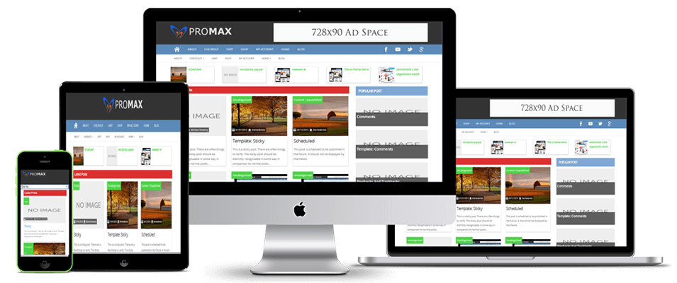 promax-reponsive-small