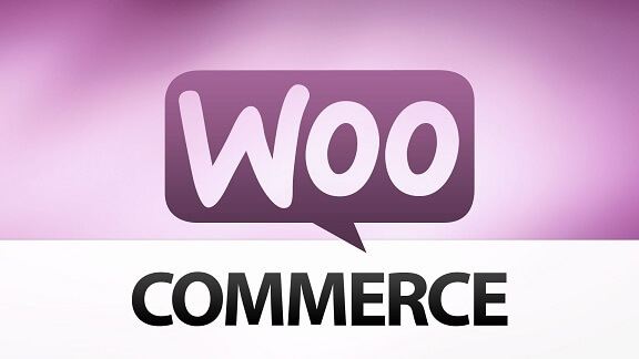WooCommerce Support