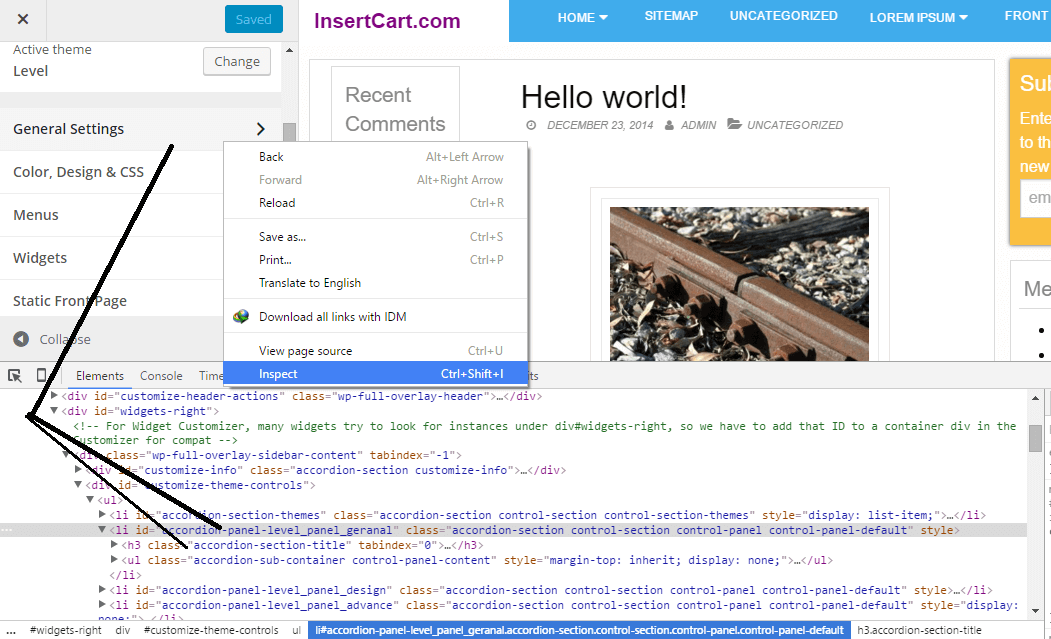 add icons in wordpress customizer