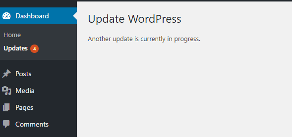 Wordpress update process