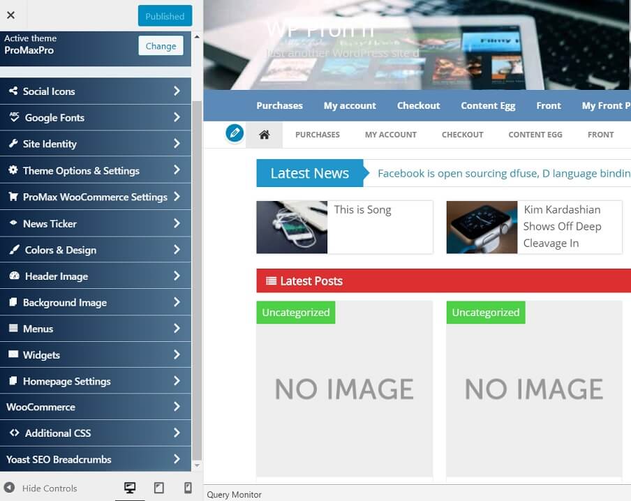 Promax pro theme option